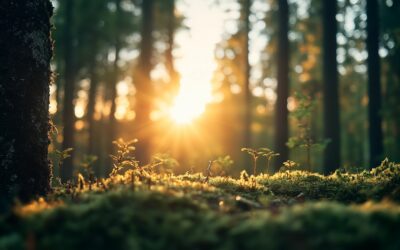 Tervetuloa vuosikokoukseen!