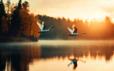 Kannatusyhdistys tukee Jämsän Kr. Kansanopiston Maitoisten kampuksen avaamista