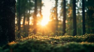 Ajankohtaista yhdistyksen toiminnasta